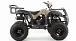Квадроцикл MOTOLAND (МОТОЛЕНД) 200 ALL ROAD в Новомосковске