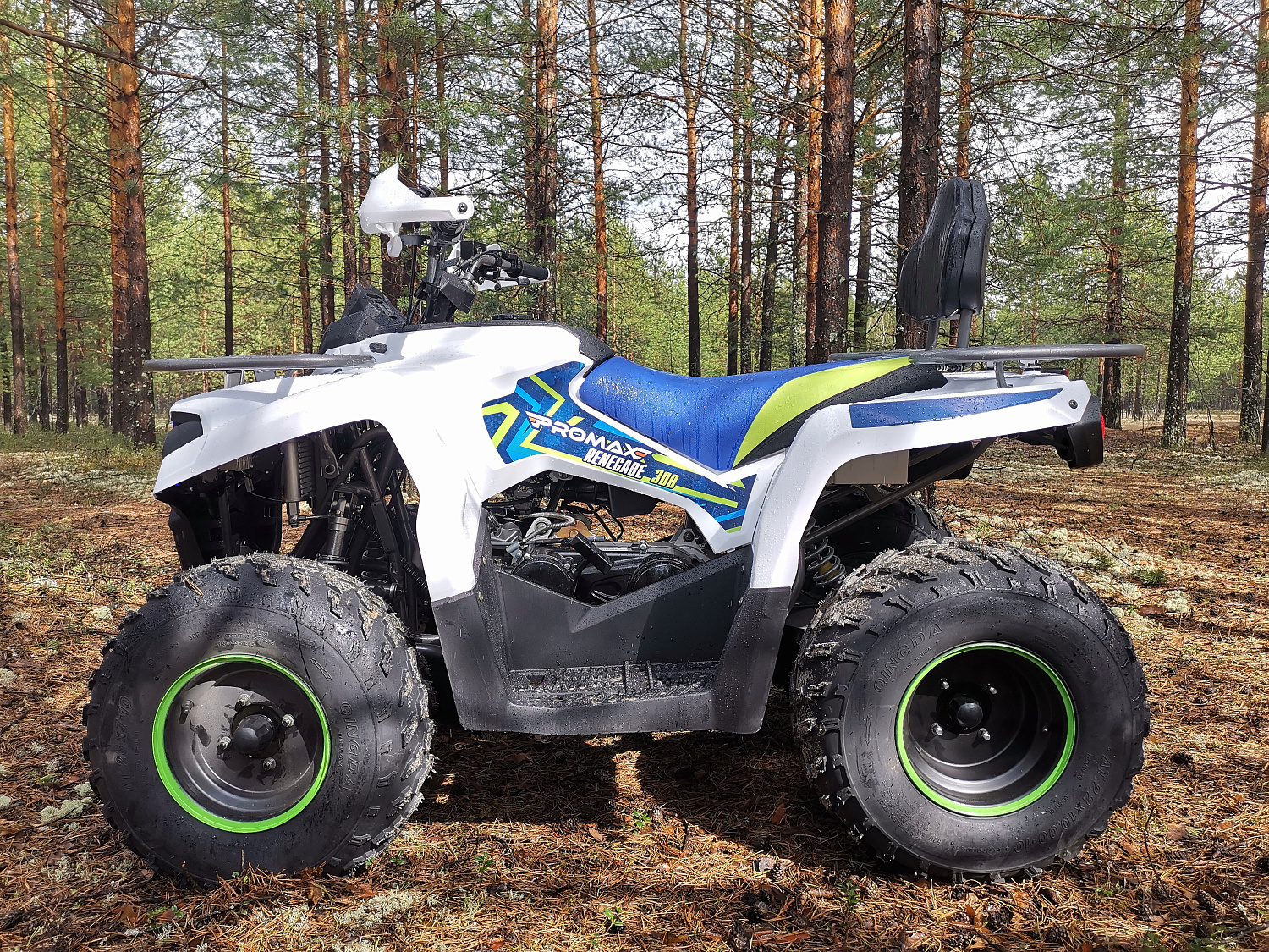 Квадроцикл PROMAX RENEGADE 280 (2025) в Новомосковске