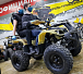 Квадроцикл PROMAX ATV 250 (2025) в Новомосковске