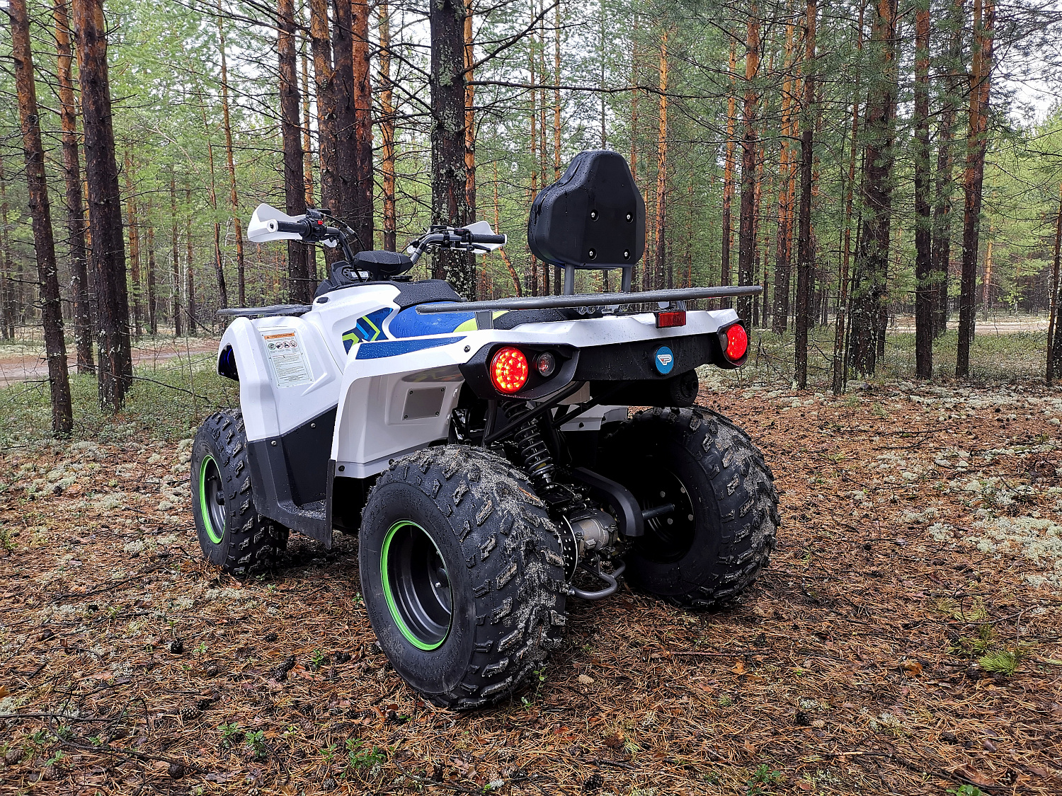 Квадроцикл PROMAX RENEGADE 280 (2025) в Новомосковске