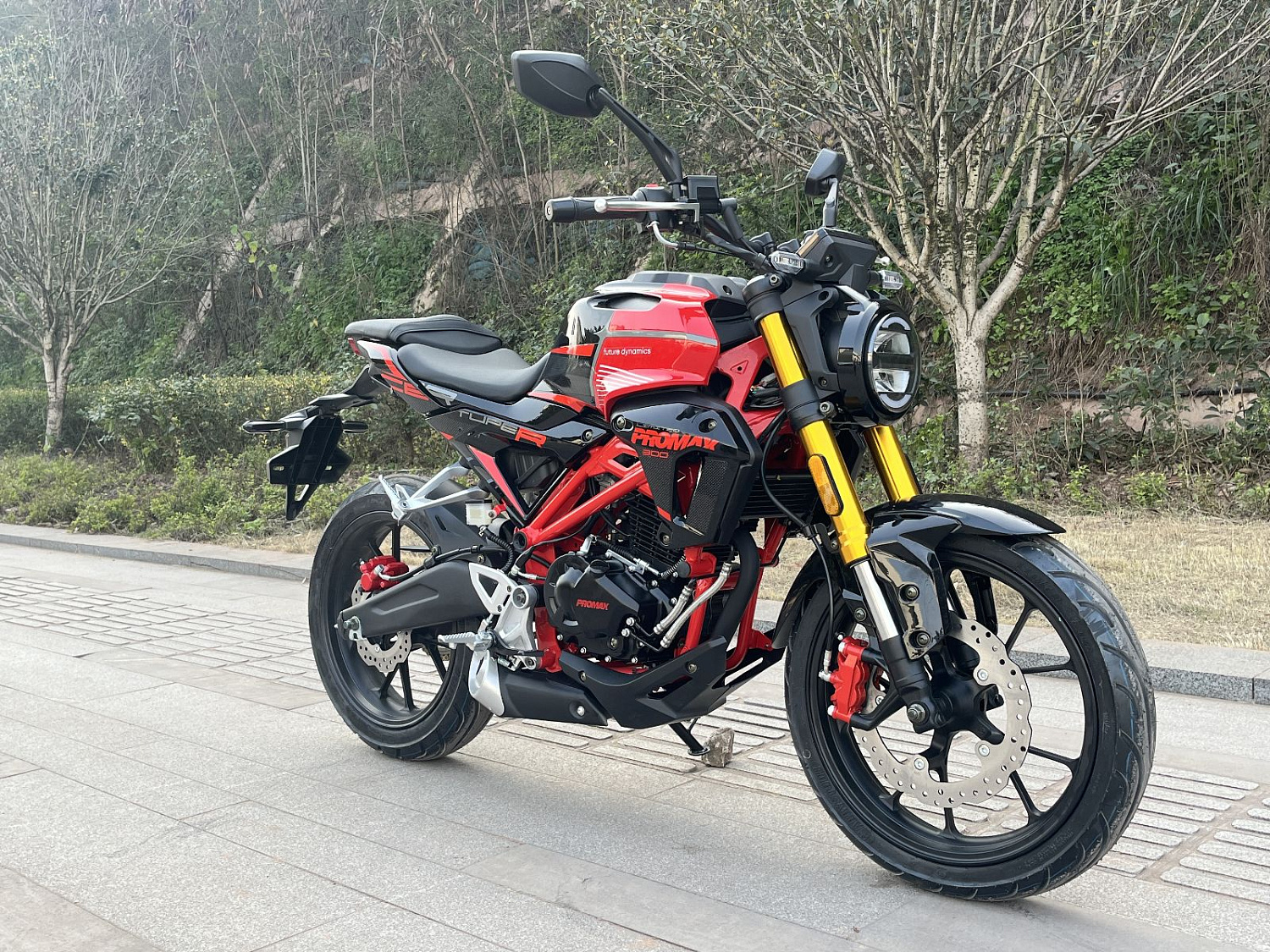 Мотоцикл PROMAX CB300 в Новомосковске