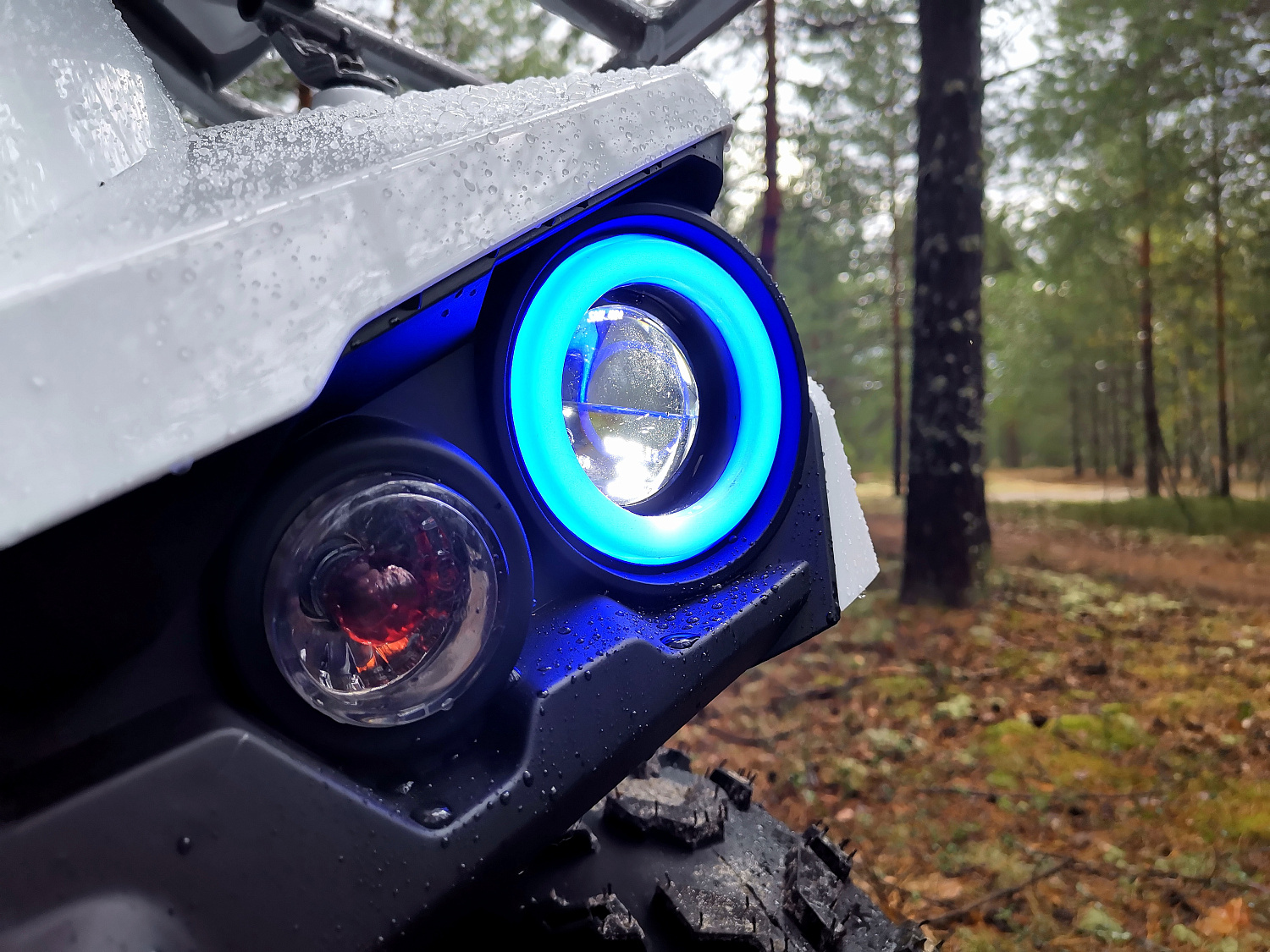 Квадроцикл PROMAX RENEGADE 280 (2025) в Новомосковске