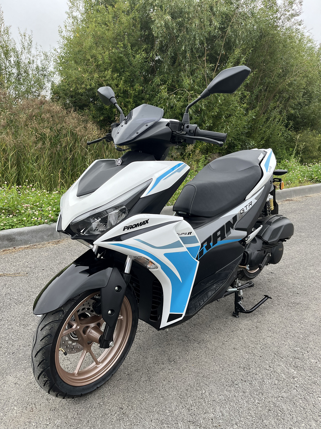 Скутер PROMAX TURAN 250 (49) в Новомосковске