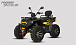 Квадроцикл PROMAX TAURUS 300 MAX-PRO LONG в Новомосковске